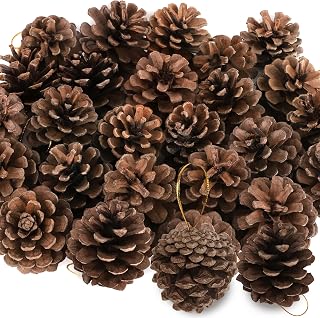 24 PCS Natural Pine Cones, 1.96 in Pinecone Ornaments, Rustic Pine Cones...