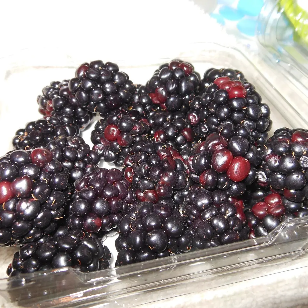 Black raspberries
